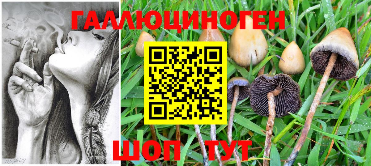 Галлюциногенные грибы MAGIC MUSHROOMS Ставрополь