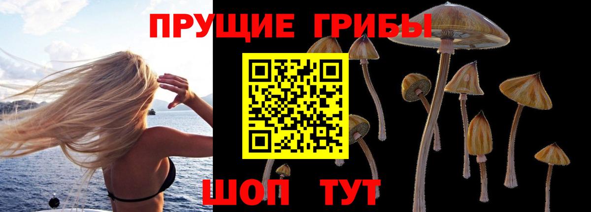 Галлюциногенные грибы прущие грибы  Вход с VPN  Псилоцибиновые грибы мицелий  Ставрополь 