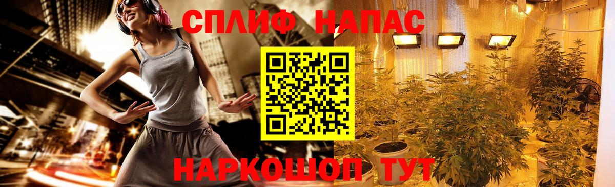 Шишки марихуана VHQ Ставрополь